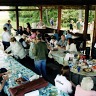 Hunter's Picnic / Dad's Birthday Party